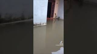 Wellampitiya Flood Today 😭😭 tamiltrending sltrending wellampitiya weatherupdate heavyrain asmr [upl. by Inacana]