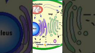 Cyclosis 👍😊 Viral Botany solution [upl. by Laraine227]