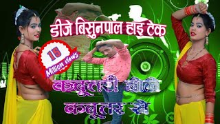 Kabutri Bole Kabutar Se Super Dholki Mix Dj Vishnupal [upl. by Junieta]