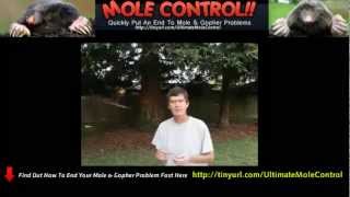 Mole Traps That Work Control Moles  Pests [upl. by Adnalro]