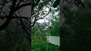 Rain shortvideo ytshorts youtubeshorts youtube shorts nature [upl. by Jesus186]