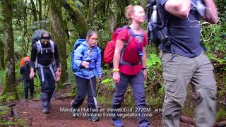 How to Climb Mount Kilimanjaro Marangu Route Step by Step with Kilimanjaro Brothers [upl. by Ab]