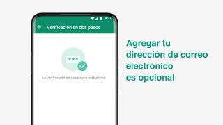 Cómo usar la verificación en dos pasos en WhatsApp [upl. by Jeno439]