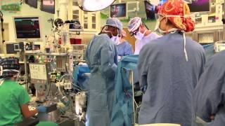 What does a pediatric perfusionist do How do I become a perfusionist [upl. by Hasan]