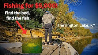 Fishing for 5K  Herrington Lake Bass Fishing [upl. by Garrott]