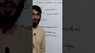 Gaseous exchange in humans part 2 Air passage way class 10th biologySeekhay students [upl. by Dever]