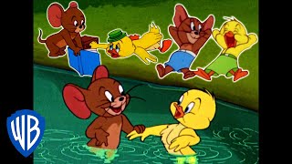 Tom amp Jerry  Best of Jerry and Little Quacker  Classic Cartoon Compilation  WB Kids [upl. by Kinom]