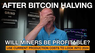 Which Bitcoin Miners Will Be Profitable After The Halving In May 2024 [upl. by Lundeen]