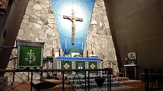 Sung Mass for the Ninth Sunday after Trinity 2024 [upl. by Hallee]