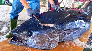 Fastest cutting speed！Giant Bluefin Tuna Cut in 5 minutes Braised Bluefin Tuna Eyes蘇澳最快刀！巨大黑鮪魚切割技巧 [upl. by Aierb]