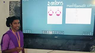 Meristematic tissue activity with onion bulb [upl. by Michella]