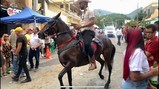 Cabalgata 2024 Peralta Azúa República Dominicana parte 4 [upl. by Darcia]