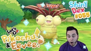 EPIC SHINY EXEGGUTOR SUPER RARE in POKEMON LETS GO PIKACHU and EEVEE [upl. by Neddy]