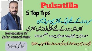 Pulsatilla Homeopathic Medicine Uses  5 Tops Tips by Homeopathic Dr Zafar Hameed Malik [upl. by Osnofledi]