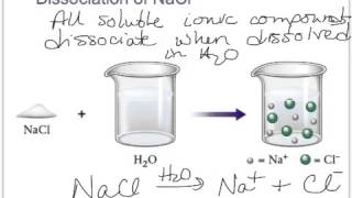 Solvation Like Dissolves Like [upl. by Cas]