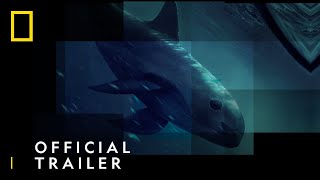 Sea of Shadows  Official Trailer  The Last Remaining Vaquitas  National Geographic UK [upl. by Eteragram]