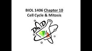 Chapter 10 Cell Cycle and Mitosis [upl. by Stratton296]