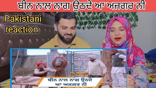 Reaction ਬੀਨ ਨਾਲ ਨਾਗ ਉਠਦੇ ਆ ਅਜਗਰ ਨੀ  Doorbeen Ninja  Wamiqa Gabbi  Jass Bajwa  Movie Scene 2024 [upl. by Salisbarry]