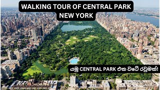 Central Park New York City [upl. by Niajneb191]