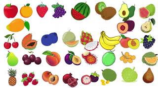 Fruits name in english🍎🍊🍇🍈🍉🍋🍌🍍🥭🥝🫐🍓🍒🍑🍐🫒🥥🥑🍏🫒 [upl. by Rehctaht]