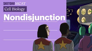 Nondisjunction Lesson Chromosome Anomalies amp Diagnosis Full Lesson  Sketchy MCAT [upl. by Neesay]