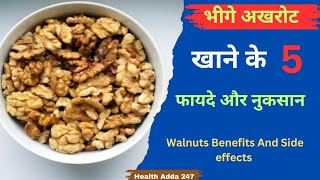 गर्मियों में भीगे अखरोट खाने के फायदे और नुकसान  Health Benefits Of Akharot Soaked Walnuts [upl. by Nareht442]