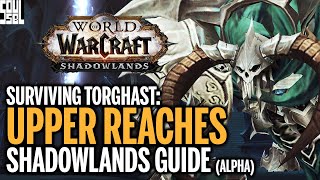 Surviving Torghast  Upper Reaches  Shadowlands Guide Alpha Preview [upl. by Siusan980]