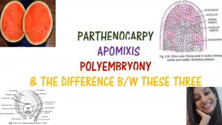 Parthenocarpy Apomixis Polyembryony and difference between these threeReproductionBansalbiology [upl. by Polivy]