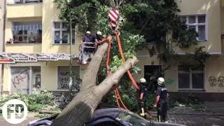 Berliner Feuerwehr  Baum auf PKW  Neukölln  Weserstrasse [upl. by Sallyann259]