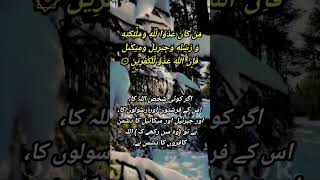 Surah Al Baqarah 298 surahbaqarahwithurdutranslation relaxing video [upl. by Marybelle]