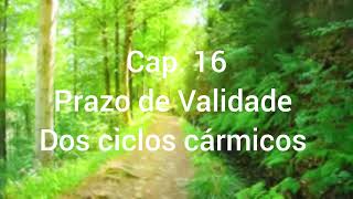 16° Cap Livro Amorosidade a cura da ferida do abandono  O prazo de Validade Dos ciclos cármicos [upl. by Nadruoj]