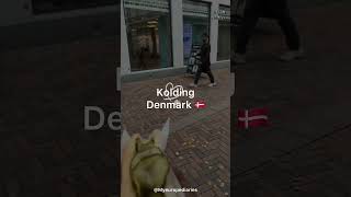 Kolding City in Denmark 🇩🇰denmark travel kolding shortvideo youtubemusic vlog youtubeshorts [upl. by Leasi]