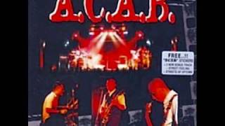 A C A B  06 ACAB Live N Loud I [upl. by Volding]