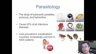 Chapter 23  The Parasites of Medical Importance [upl. by Ecirtnom]