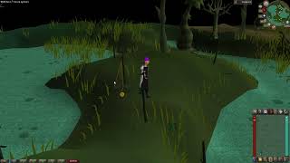 OSRS Loot From Hunting Swamp Lizard [upl. by Ardisi119]