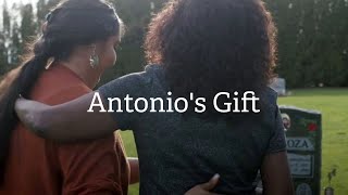 Antonios Gift [upl. by Gardiner]