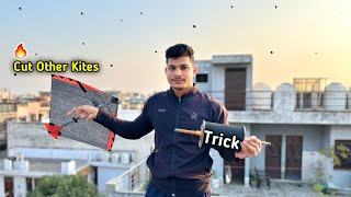 Trick with Other Kites  Kite Cutting  Kite Flying  Ankit Kite Fighting [upl. by Nnaarat]