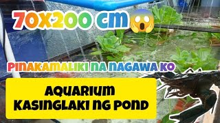 pinaka malaking aquarium na ginawa ko [upl. by Zirtaeb]