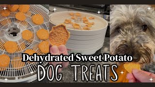 Dehydrated Sweet Potato Dog Treats [upl. by Osborn656]