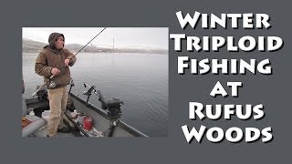 Winter Triploid Fishing at Rufus Woods [upl. by Rekyr288]