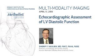 Echocardiographic Assessment of LV Diastolic Function SHERIF F NAGUEH MD April 17 2018 [upl. by Hellah]