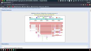 BLAST Tutorial  UMass BIO 283  Prof Markstein General Genetics [upl. by Caleb]