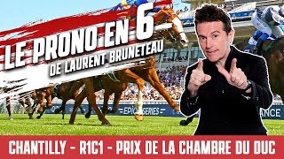 Pronostic Quinté  Chantilly  Prix de la Chambre du Duc  1er octobre 2024 [upl. by Martina412]