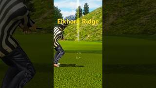 Elkhorn Ridge Hole 1 Eagle 🦅 Stinger from 75 yards [upl. by Omixam]