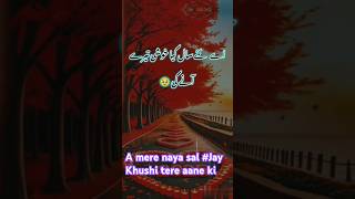 A mere naya sal Jay Khushi tere aane ki poetry sadpoetry shayari [upl. by Cirillo4]