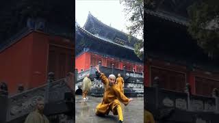 Shaolin Temple Kung Fu Demonstration ✨🤗🧐 shorts shaolin wushu [upl. by Clemen]