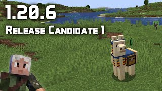 News in Minecraft 1206 Release Candidate 1 [upl. by Karna]