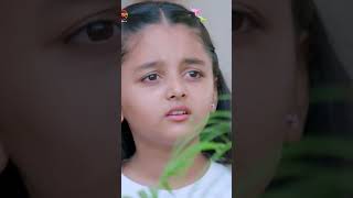 Tulsi Humari Badi Sayani  5 Dec 2024  Shorts  Dangal TV [upl. by Aikar]