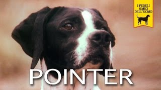 IL POINTER trailer documentario [upl. by Atikahc776]