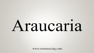 How To Say Araucaria [upl. by Ellehcin692]